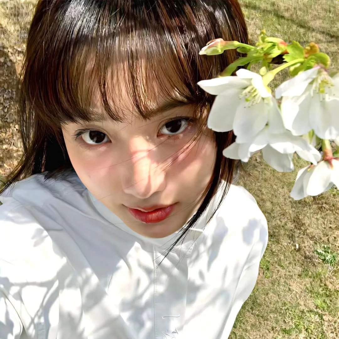笨贼龙虎榜